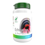 Echinacea 60 capsule Medica, Medica Farmimpex