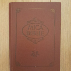Mica Biblie (1981)