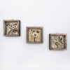 Tablou MDF cu rame Flori Uscate, Multicolor, 15x15 cm, 3 bucăți