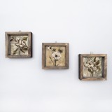 Cumpara ieftin Tablou MDF cu rame Flori Uscate, Multicolor, 15x15 cm, 3 bucăți