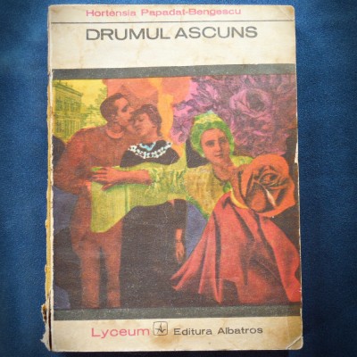 DRUMUL ASCUNS - HORTENSIA PAPADAT-BENGESCU - LYCEUM foto