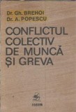 Cumpara ieftin Conflictul colectiv de munca si greva - Gh. Brehoi