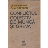 Conflictul colectiv de munca si greva - Gh. Brehoi