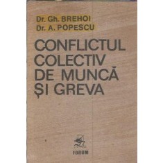 Conflictul colectiv de munca si greva - Gh. Brehoi