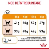 Hrană uscată pentru pisici Royal Canin Hair Skin Care 10 kg
