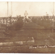 3133 - FOCSANI, Vrancea, Cemetery, Romania - old postcard, real PHOTO - unused