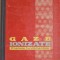 GAZE IONIZATE. PROCESE FUNDAMENTALE-EUGEN BADARAU, IOVITU POPESCU-215765