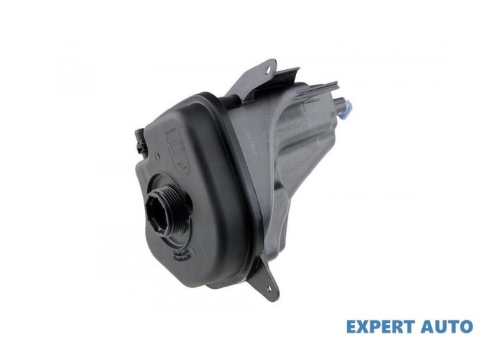 Vas expansiune BMW X5 (2007-&gt;) [E70] #1