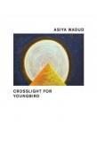 Crosslight for Youngbird, 2019