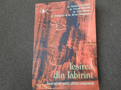 Robert Hemfelt - Iesirea din labirint. Manual aplicativ pentru Labirintul codeP foto