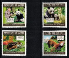 GUINEEA 2011 - Ursi Panda /serie completa MNH
