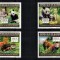 GUINEEA 2011 - Ursi Panda /serie completa MNH
