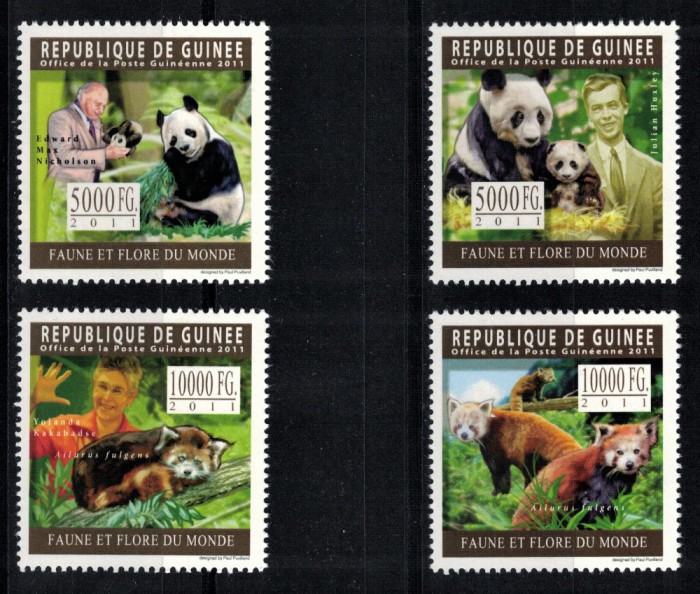 GUINEEA 2011 - Ursi Panda /serie completa MNH