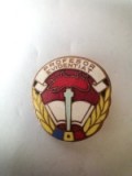 Insigna - Profesor Evidentiat