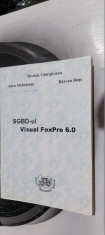 SGBD-ul Visual FoxPro 6.0 GIURGITEANU MEHEDINTU BUSE foto