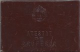 A3625N Atestat de profesor &icirc;n specialitatea pedagogie și psihologie, profesor Alexandru Trifu, 1967