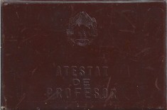 A3625N Atestat de profesor &icirc;n specialitatea pedagogie și psihologie, profesor Alexandru Trifu, 1967