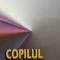 Copilul Maltratat - Kari Killen , G292