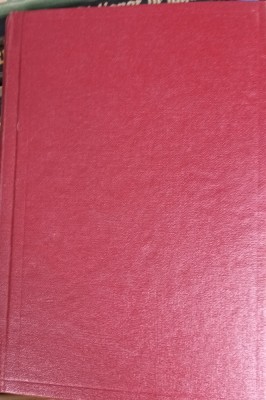 BRUTA GUY DES CARS foto