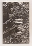 RF179 - Carte Postala - Slanic Moldova. Aleea Izvoarelor, circulata 1970