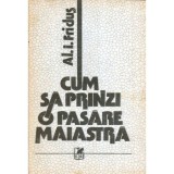 Al.I. Fridus - Cum sa prinzi o pasare maiastra - 117449