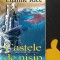 Luanne Rice Castele de nisip