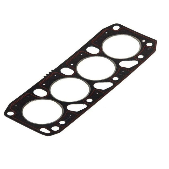 Garnitura chiuloasa Guarnitauto Ford Escort