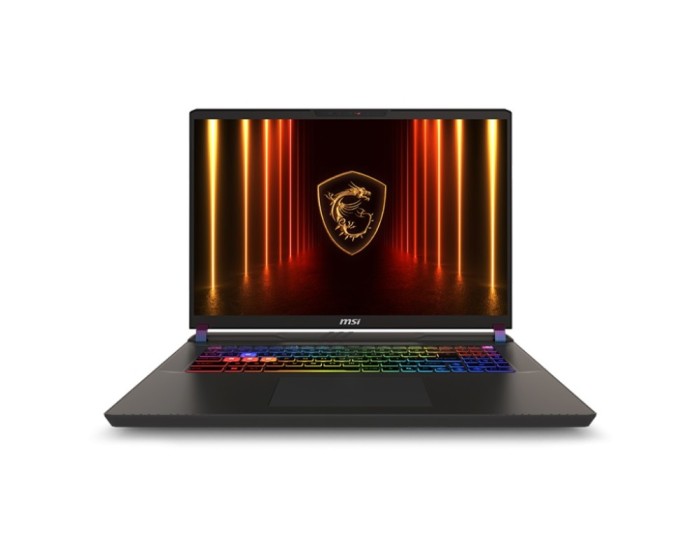Laptop msi gaming vector 17 hx ai a2xwjg-207xro 17 qhd+ (2560x1600) 240hz ips-level intel&reg; core&trade;
