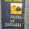 PISICA DE ERITREEA - Stefan Damian, 1986, 224 pag, stare buna