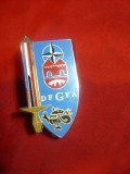 Insigna NATO DFGFA , metal si email , h=5cm ,design Arthus Bertrand Paris