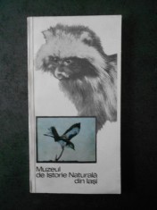 NECULAI MACAROVICI - MUZEUL DE ISTORIE NATURALA DIN IASI