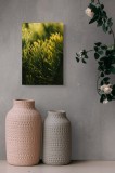 Tablou Canvas, "Strălucirea misterioasă a ramurilor de pin", Frumusețe, Natură, Verde, Frunze, Delicat, Luminos, Calm, Vigoros, Textură, Natural, Pini