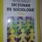 Dictionar de sociologie- Gilles Ferreol, Philippe Cauche