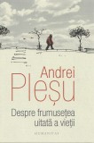 Cumpara ieftin Despre Frumusetea Uitata A Vietii, Andrei Plesu - Editura Humanitas