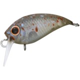 Vobler Presso Wabcra Jr. 25F SR 2.5cm 1.5g Splash Olive Pearl