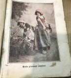 T. Carte Regalista, Precupete Olandeze, 1935