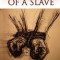 The Willie Lynch Letter and the Making of a Slave