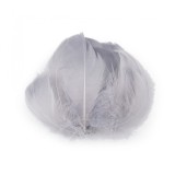 Cumpara ieftin Set 20 pene decorative de strut lungime 6-10 cm, Gri deschis