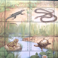 Moldova 2005 reptile serpi fauna bloc nestampilat