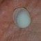 superb ! opal natural imens oval cut!! 2 ideal pentru pandantiv /inel etc