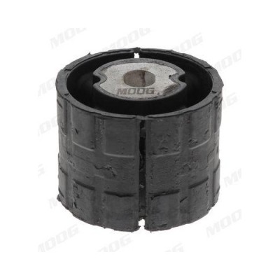 Moog suport, ax foto