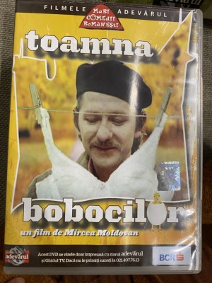 DVD NOU Toamna Bobocilor, film de Mircea Moldovan, Draga Olteanu matei, Sebastian Papaiani,marin Moraru foto