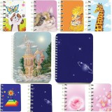 Cumpara ieftin Set 10 carnete Aleator 5, doua carnete cu spira 12 x 16 cm, 100 foi dictando si