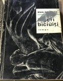 LITR2 Literatura Ingeri biciuiti