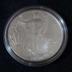 SUA 2024 - 1 dolar - American Eagle - 1 OZ – O monedă de argint