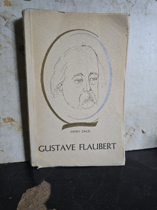 Gustave Flaubert - Henri Zalis