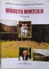 Gradistea Muncelului (Monografie), vol. I &ndash; Stefan Chisu (putin indoita)