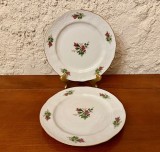 2 FARFURII DIN PORTELAN FIN- SELTMANN WEIDEN BAVARIA- WIEN D19CM