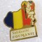 Insigna, pin - Solidarite Roumanie
