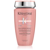 K&eacute;rastase Chroma Absolu Bain Chroma Respect sampon hidratant pentru păr vopsit 250 ml